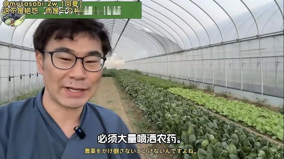 这个日本农学家说日本农业大量使用农药是现实，还解释了为什么会大量喷洒农药。
从消