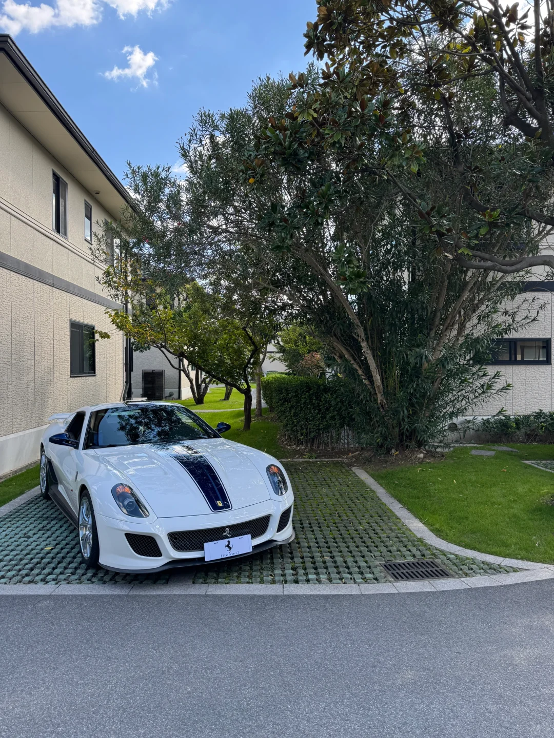 599 GTO 喜欢您来