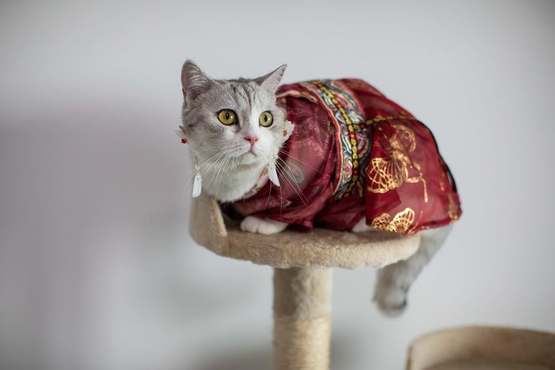  老公总嫌我花钱多，那天我买了件新衣服，故意说才花50块。他夸我会过日子，还凑过