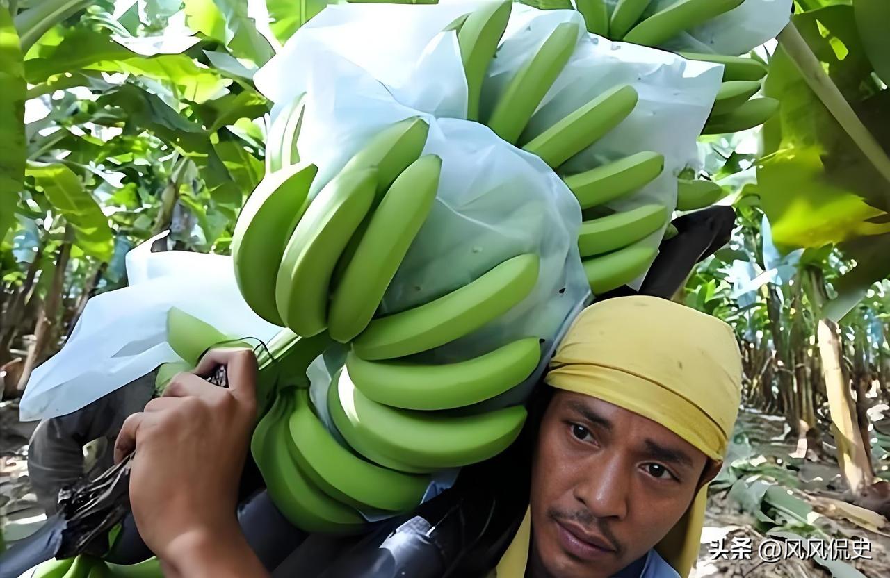 自从中国停止进口菲律宾香蕉，菲律宾香蕉协会的负责人愤怒地表示：“中国断了30万蕉