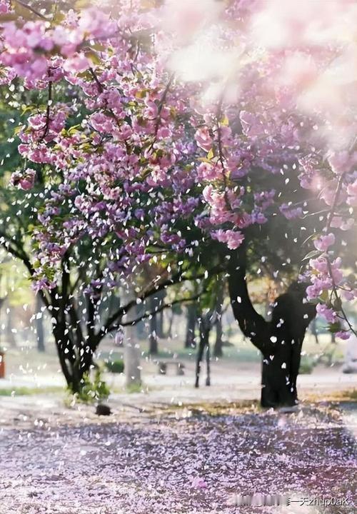 《春尽》
——刘因〔元代〕
草阁垂帘昼掩扉，
客来知我出门稀。
鸟鸣淡与人相对，