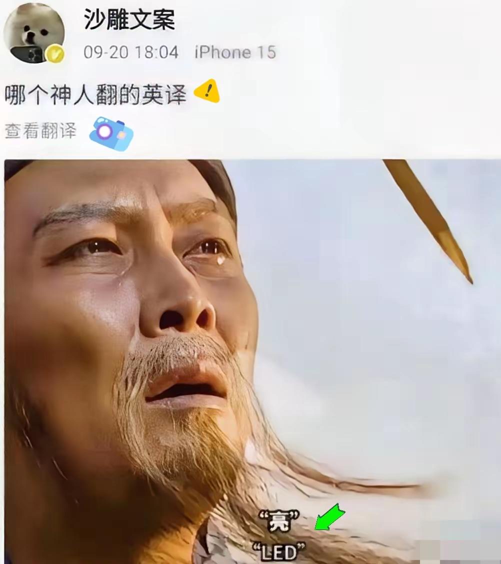 这翻译确实够“亮”英语翻译 文笔翻译 雷人翻译 翻译 带单词翻译 幽默搞笑神翻译