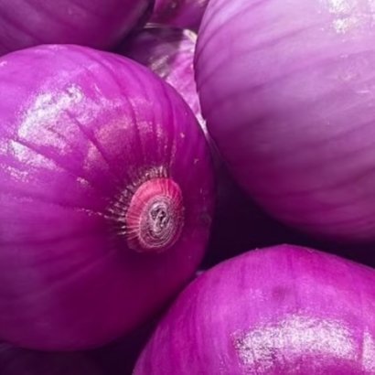 洋葱的种植方法一、品种选择：根据当地气候和种植季节选种，如在长江流域，可选择黄皮