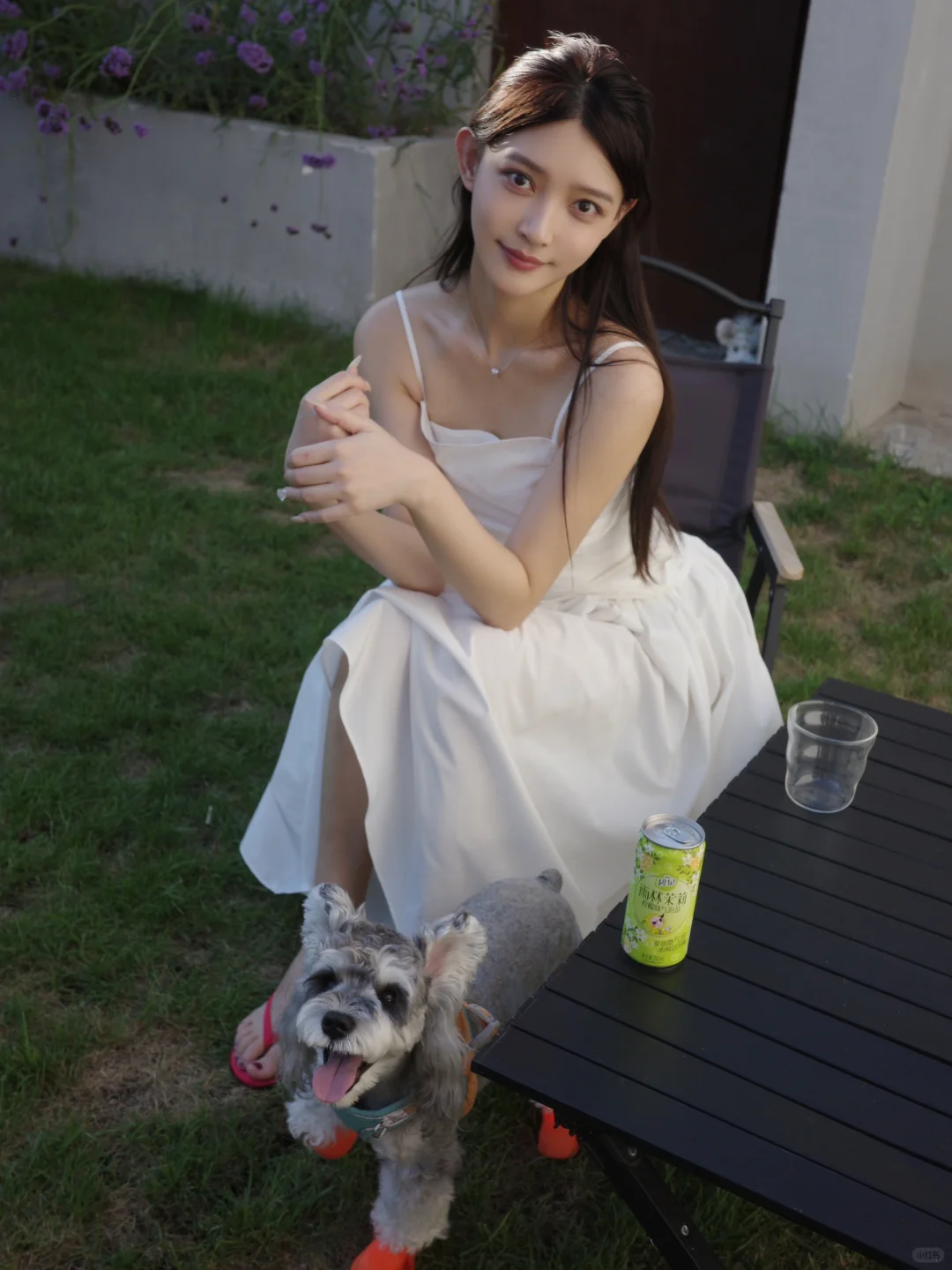 夏天如果少了爱茶和小狗