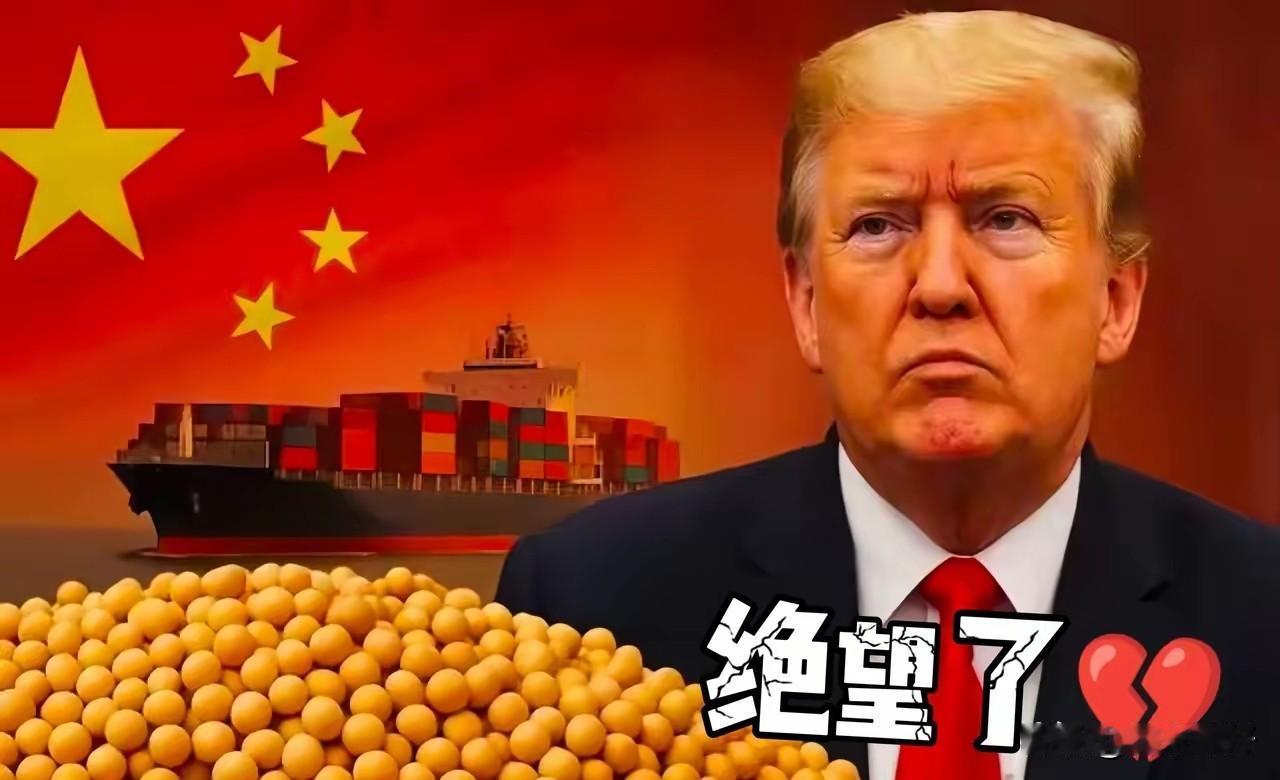 哭到缺氧
特朗普刚发布了一项重要指令！
美国豆农的大豆卖不出去，特朗普下令要发超