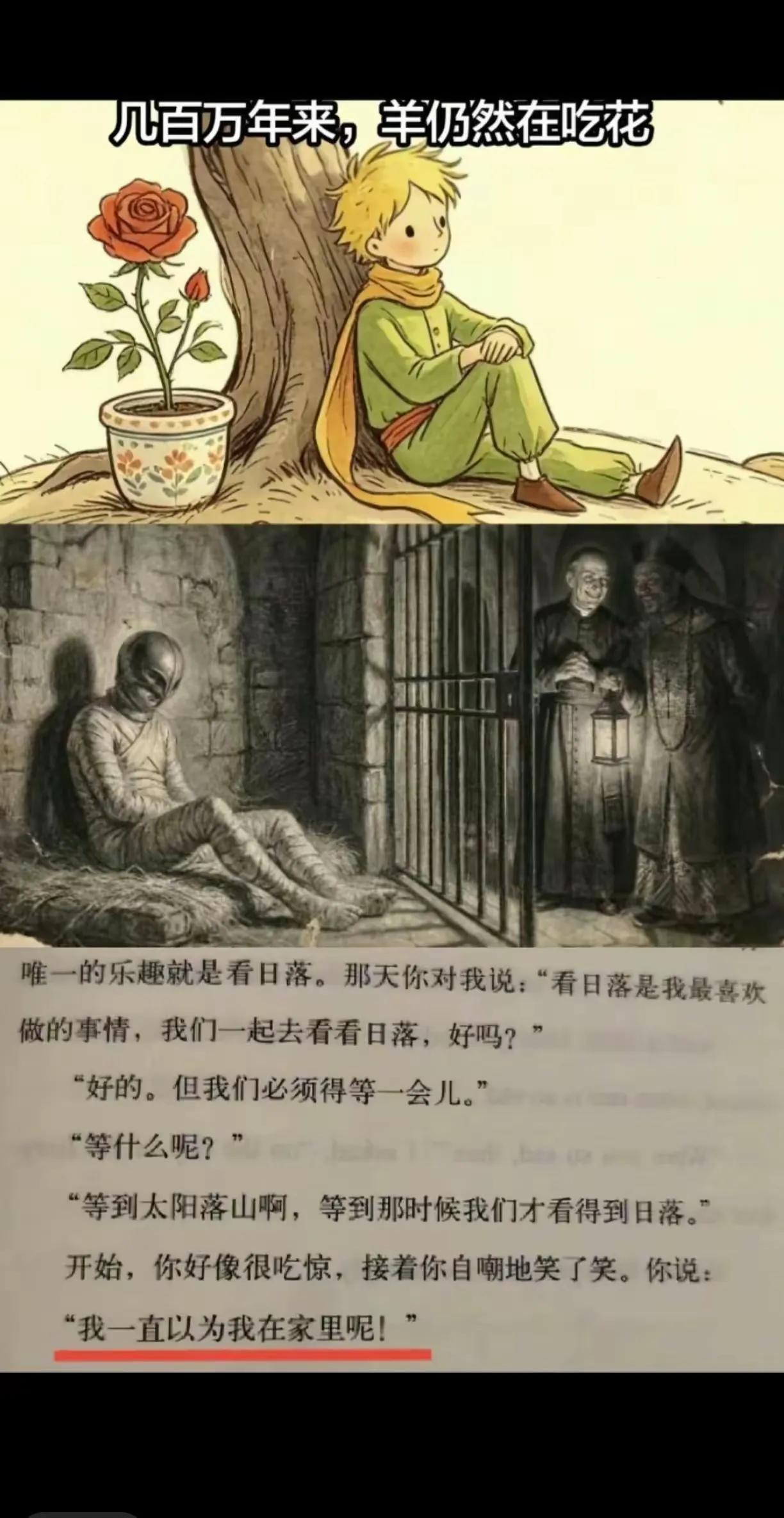 作家三毛曾说，若有一天离开，要把《红楼梦》和《小王子》一起带在身边陪葬。

几百