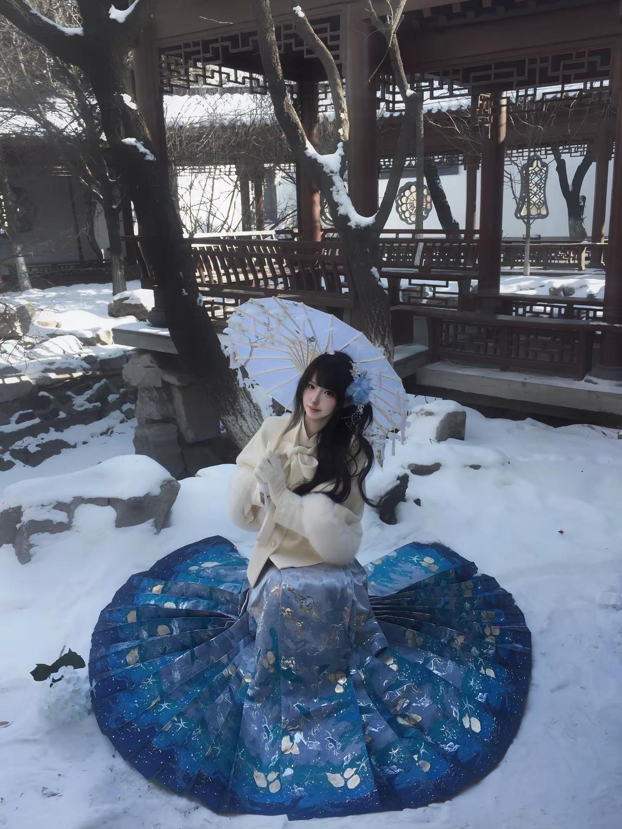 唯有寒冬知我意 雪捎枝头抚白地 揽风华