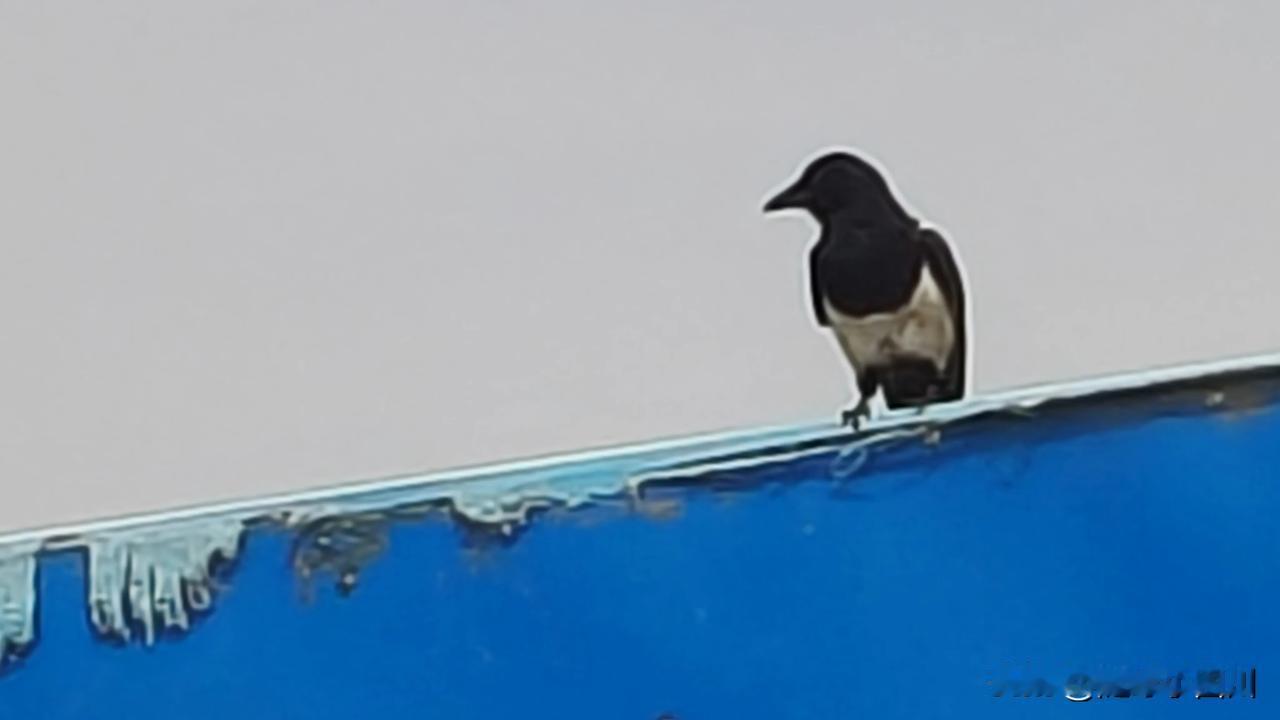 夫妻本是同林鸟
患难时刻见真情

夫妻本是同林鸟
同心同德共白头

夫妻本是同林