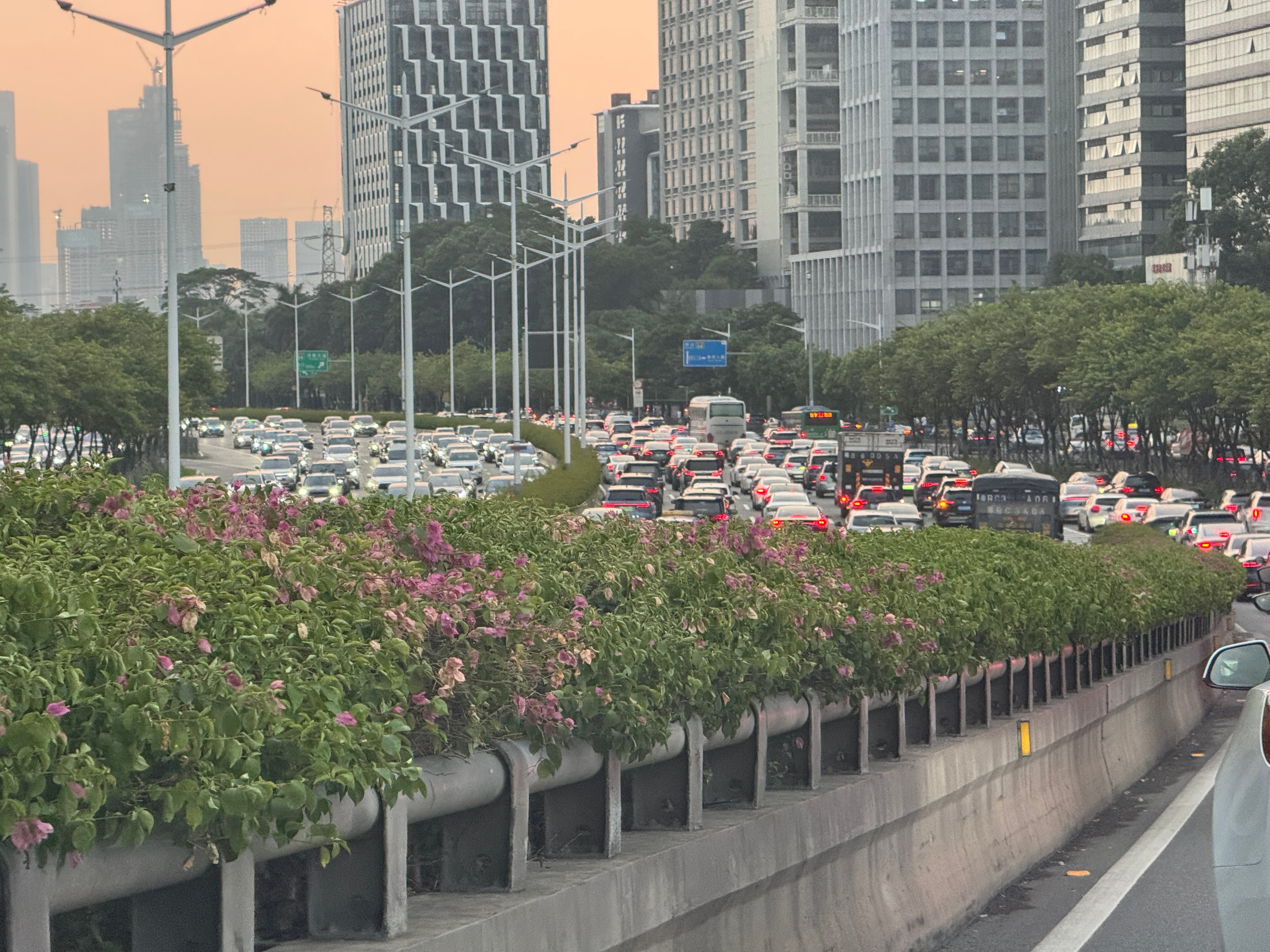 周五的深圳真的没有饶过任何一批牛马，我开了三个多小时，终于开会了广州 