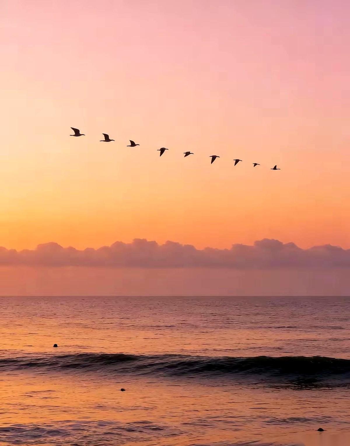 跟你公公能有多大仇？
十年八年也吵不了一架。
但婆婆？呵呵，那可能是一辈子的“修