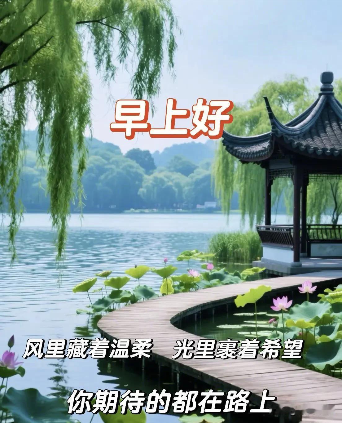 早安，新的一天，愿阳光铺满前路，所有美好都如约而至。