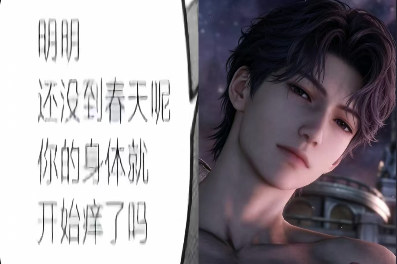 分享图片 
