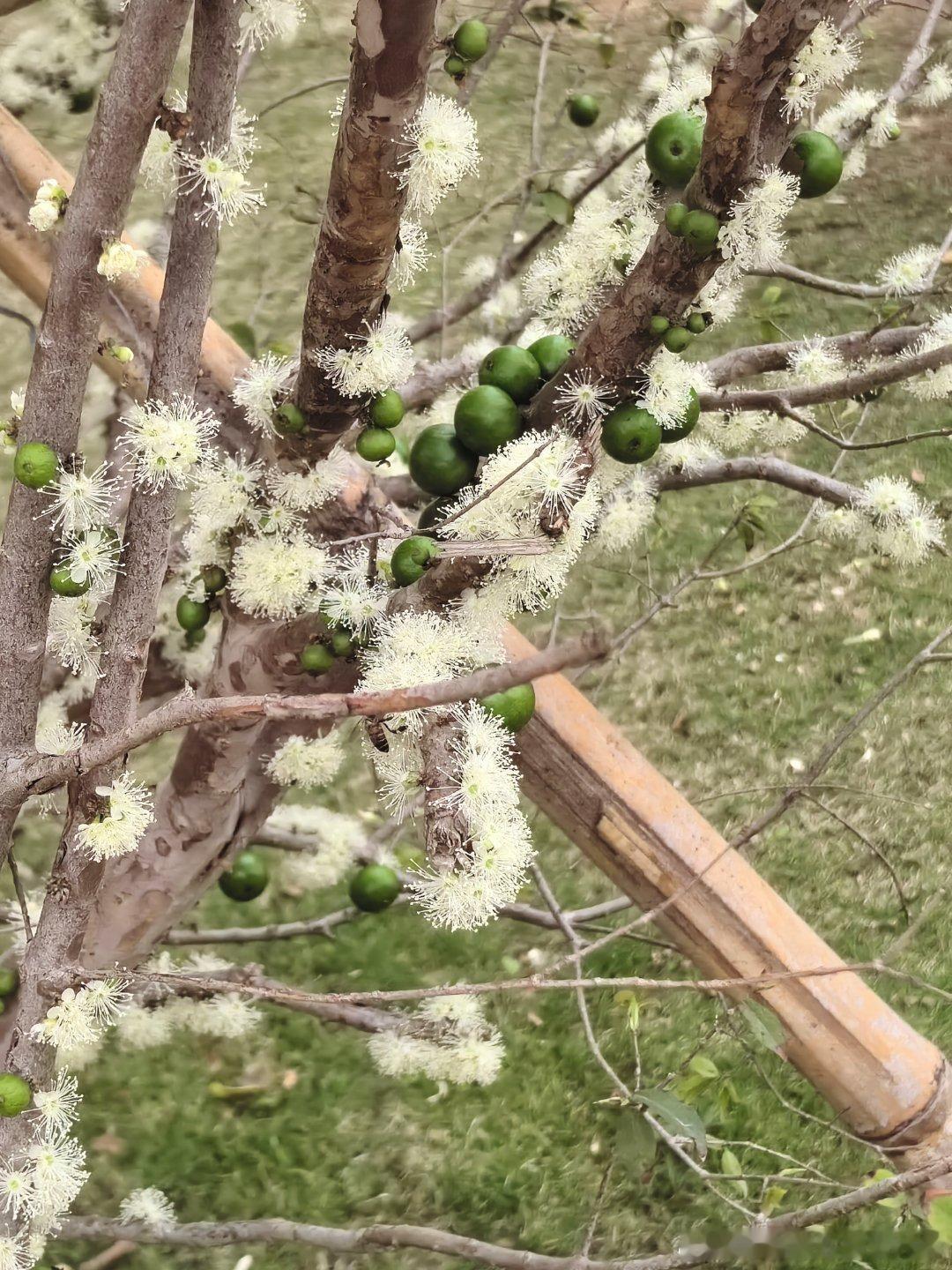 春天的🌸🌸和🍂🍂  ​​​
