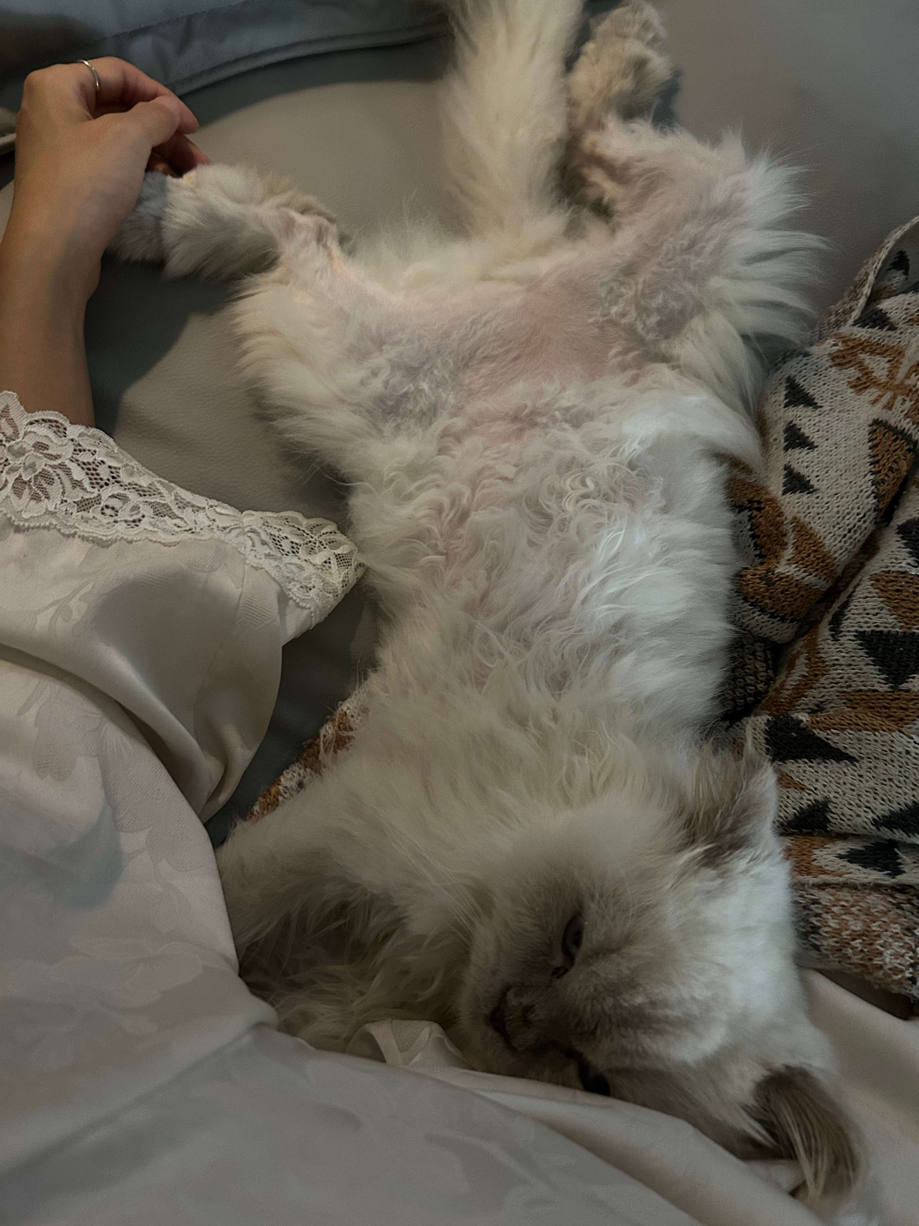 今天做的鸡翅拌面学生们都觉得好吃，小for 说满分5分能给我4点5，零点五扣在太