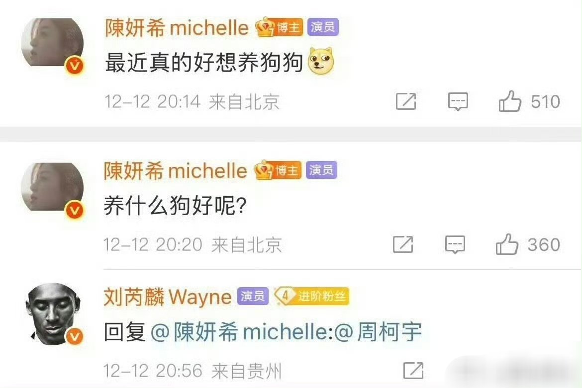 刘芮麟all希 嗑谁不是嗑刘芮麟内娱嗑cp第一人，陈妍希结婚的时候送祝福，如今又