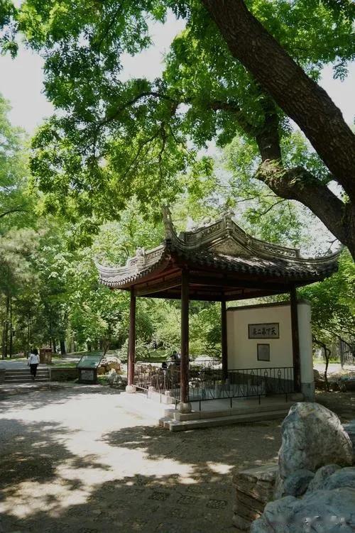 #秋日生活打卡季#云中独行，给人间街灯撒上细盐，灯火朗照，盐粒里是我酿了一秋的甜