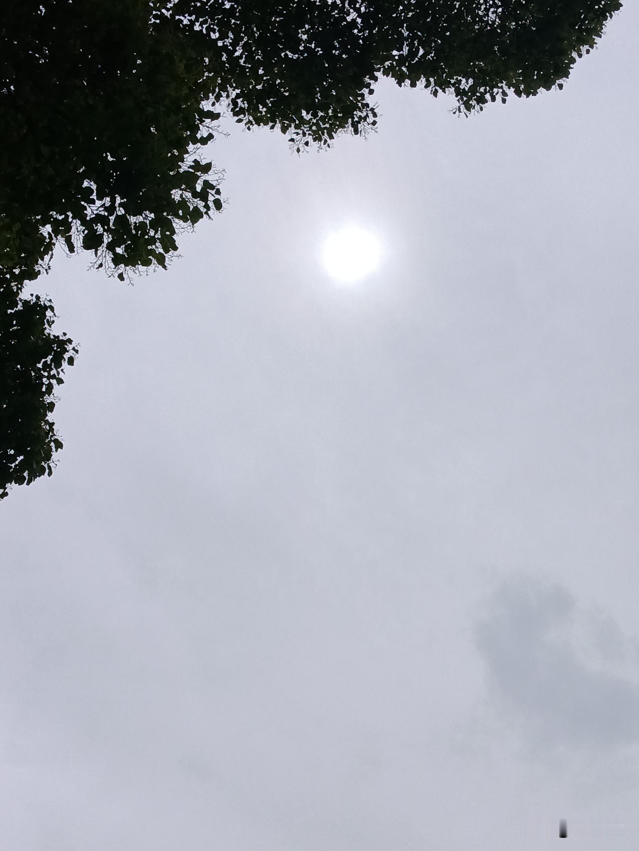 最近，一位妈妈发视频称，自己动用了人脉和关系，辗转从朋友处借来了一张山姆超市的会