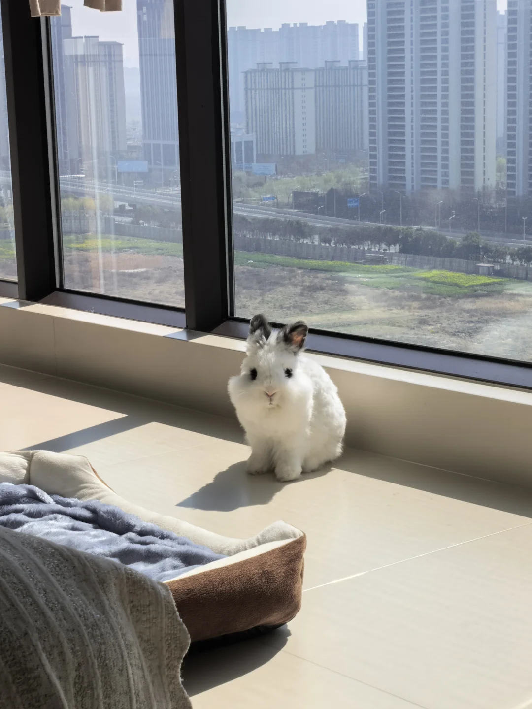 阳光在亲吻你，把所有病痛都带走