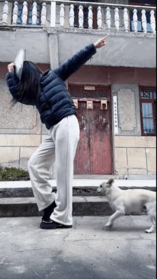 奇怪的锅盖舞，
狗狗都被吓疯了！
这是什么舞蹈，
属于什么类型？
之前从来没见过