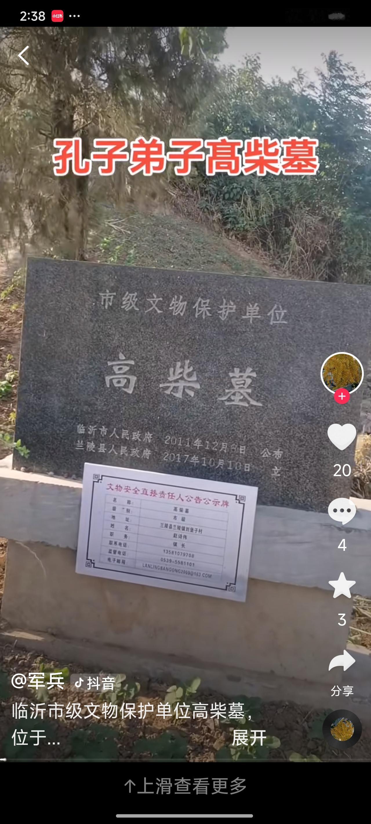 寿圣高柴墓在临沂兰陵县——核心原因是：晚年定居兰陵、办学终老、族人聚居、后世立碑