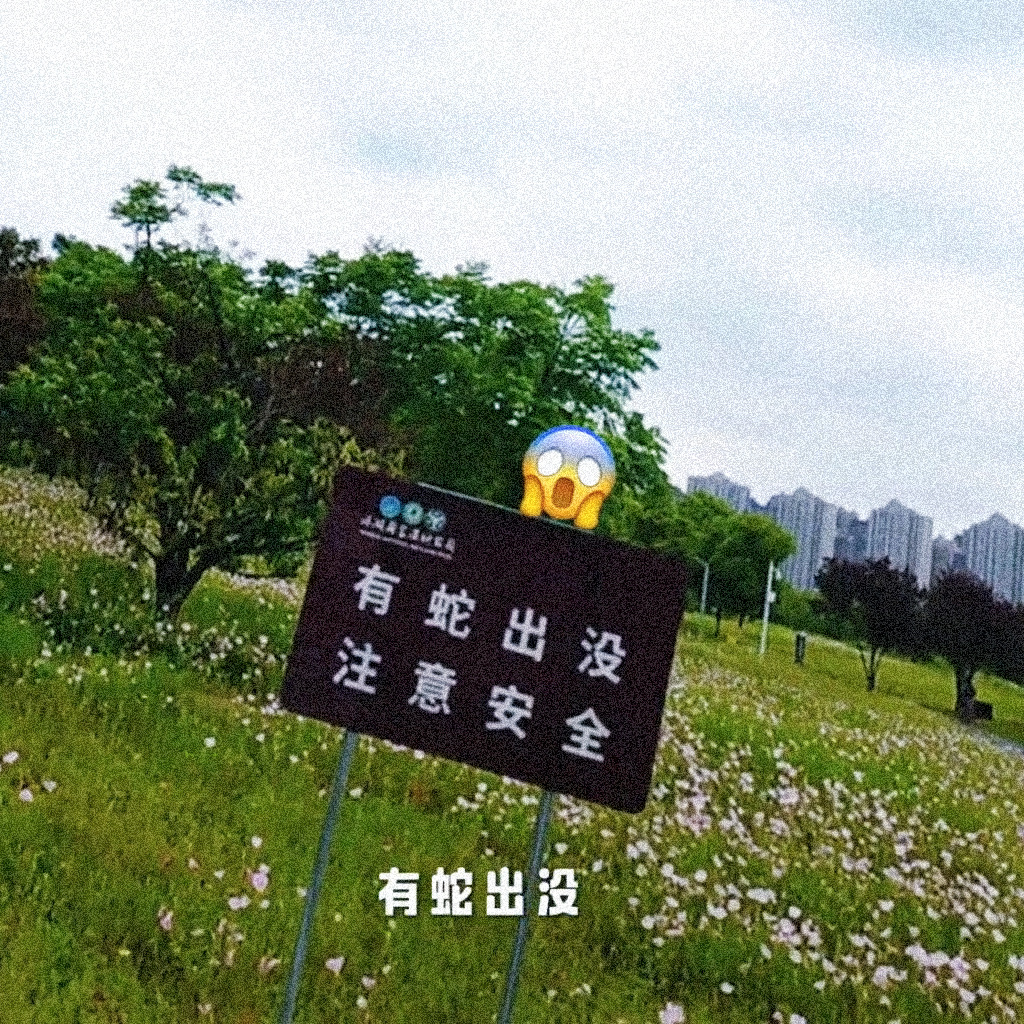 成毅走路冠军争霸赛vlog成毅以为的自己😐😱😵我们眼中的他😾🙀😿成毅