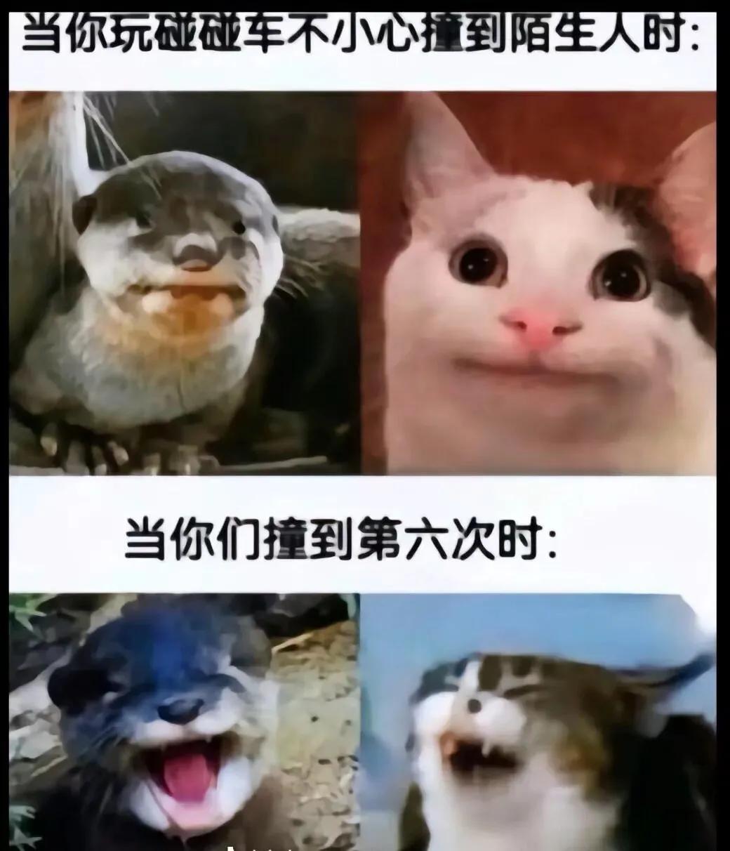 破防了  破防了！！！