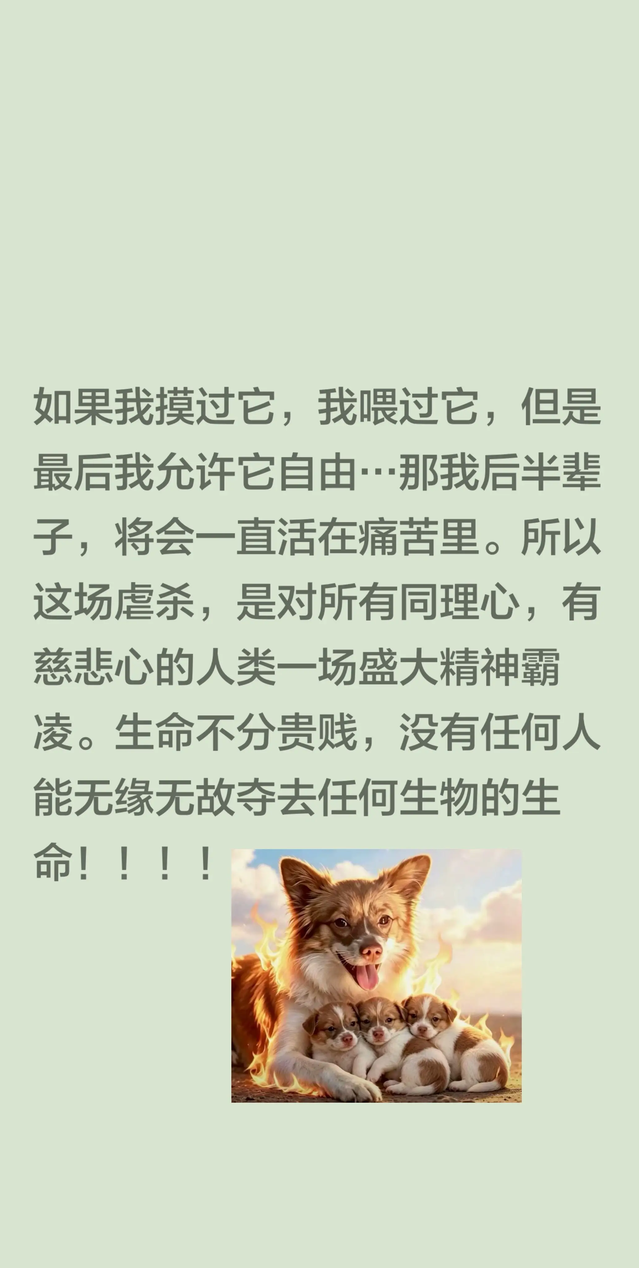 我回复了 的评论： 文字都不敢看，视频我也不敢点开。但是它扛了一小时。
