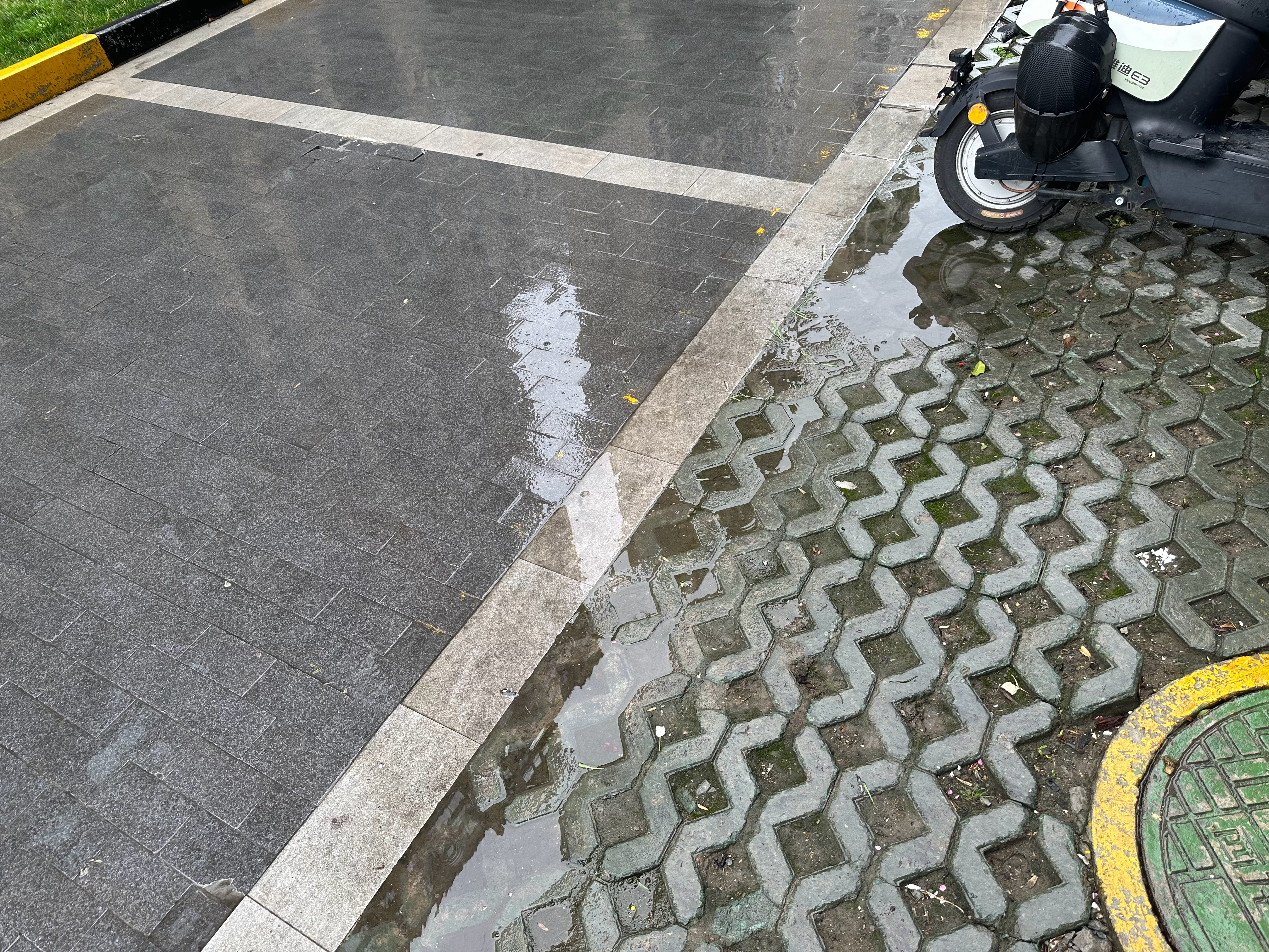 春雨贵如油，你们那边“下油”了没没🚗的情况下，这不大不小的雨是不是最烦心的；伞