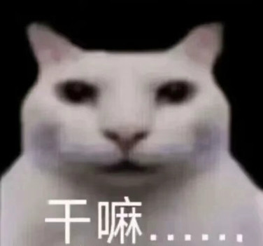 十七岁一次线下都没追过 虐粉半天最后要求新音要2000人我都笑吐血了 