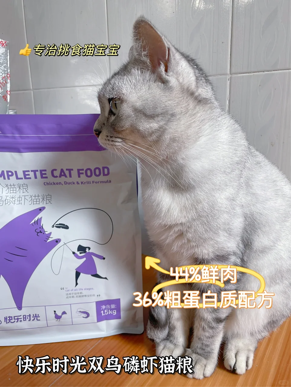 这是谁家肥嘟嘟的小猫咪呀！