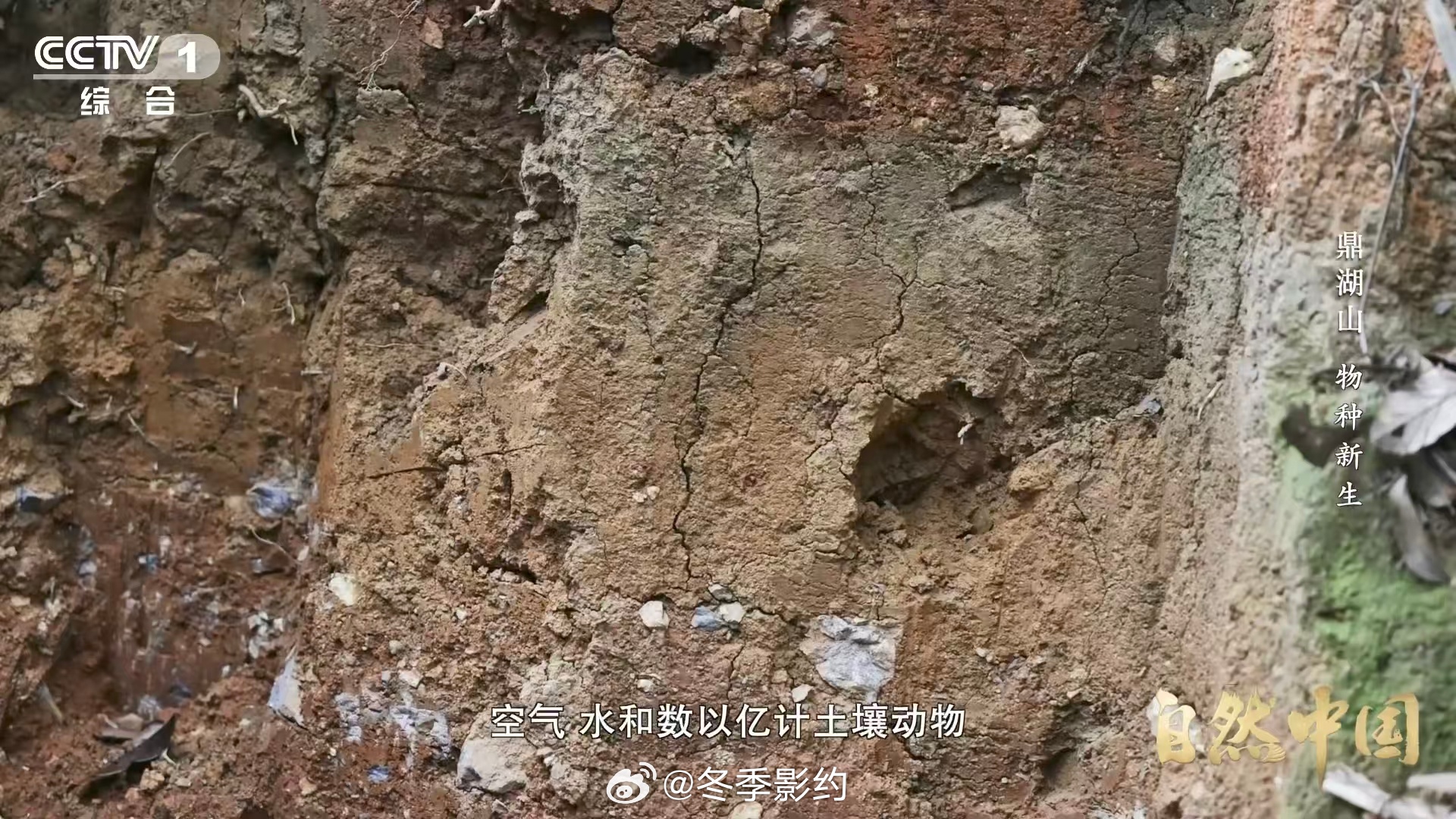 土壤的土腥味从何而来 原来我们嫌弃的土腥味，是土壤里最热闹的生命信号，是细菌真菌