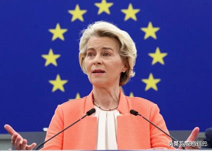 冯德莱恩有病吧？自己想对中国下手，欧洲自己都吵翻了。法国说行，德国说不行——我大