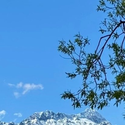 1200爱物惜物，即是善行；勤俭持家，便是积德。 心不欲杂，行善则真；心若欲杂，