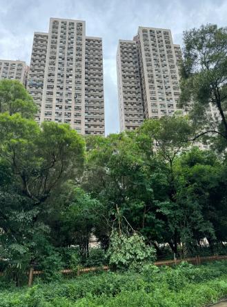 宏福苑以前的样子，
真是太可惜了！


香港这排老楼着火前，
外观确实不难看。