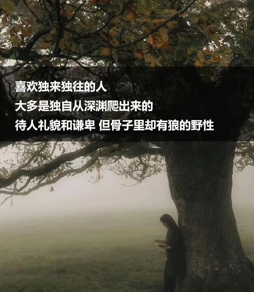 双子座的特质展现了道德自由的独特风貌，他们灵活机智，擅长思辨，能迅速理解人情世故