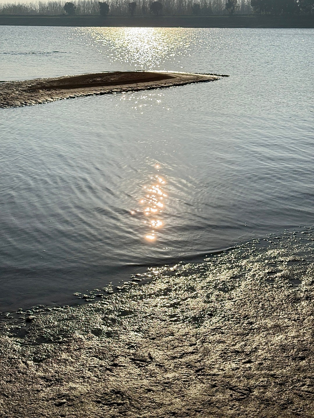 刻意去寻觅的事物，往往难以寻得。天下万物的出现与消逝，都自有其既定的时刻。 