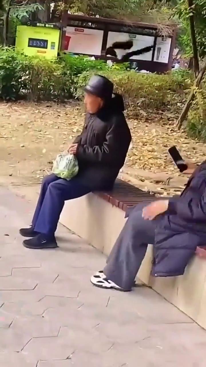 大家看看这一幕多神奇，几位老人坐在这里聊天，既然一只喜鹊飞到大爷头上，不管大爷怎