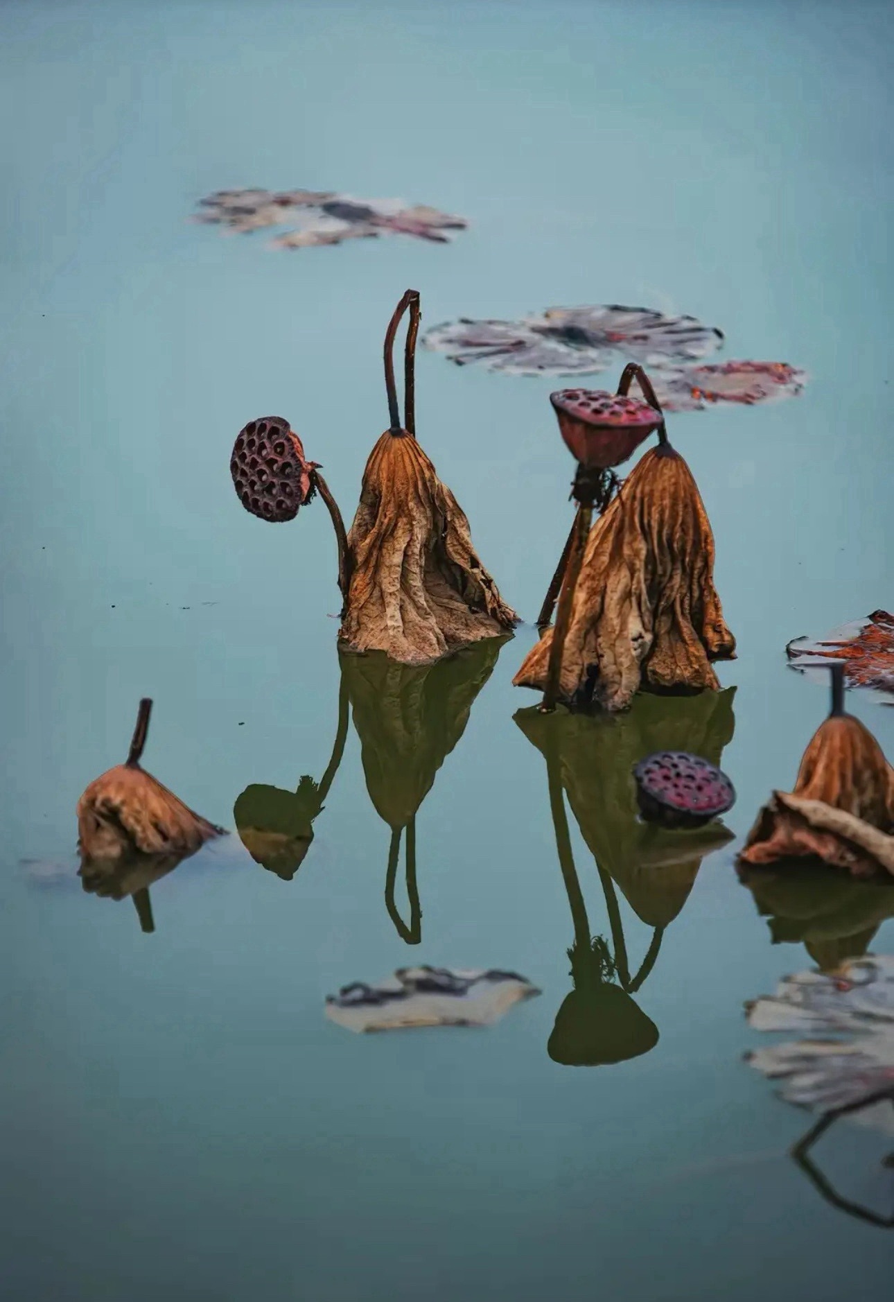 其实最怕新人来，我们23年春季开始做纳指的，几年过来老家伙都赚了不少，去年春季是