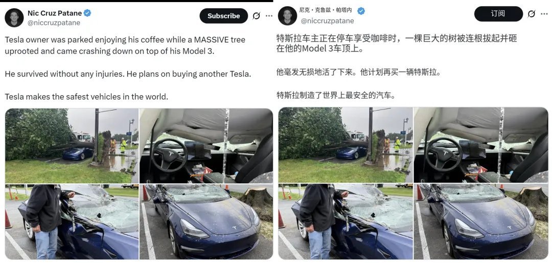 喝着咖啡意外就来了？参天大树连根拔起砸中Model 3车顶，车主毫发无损：下辆车