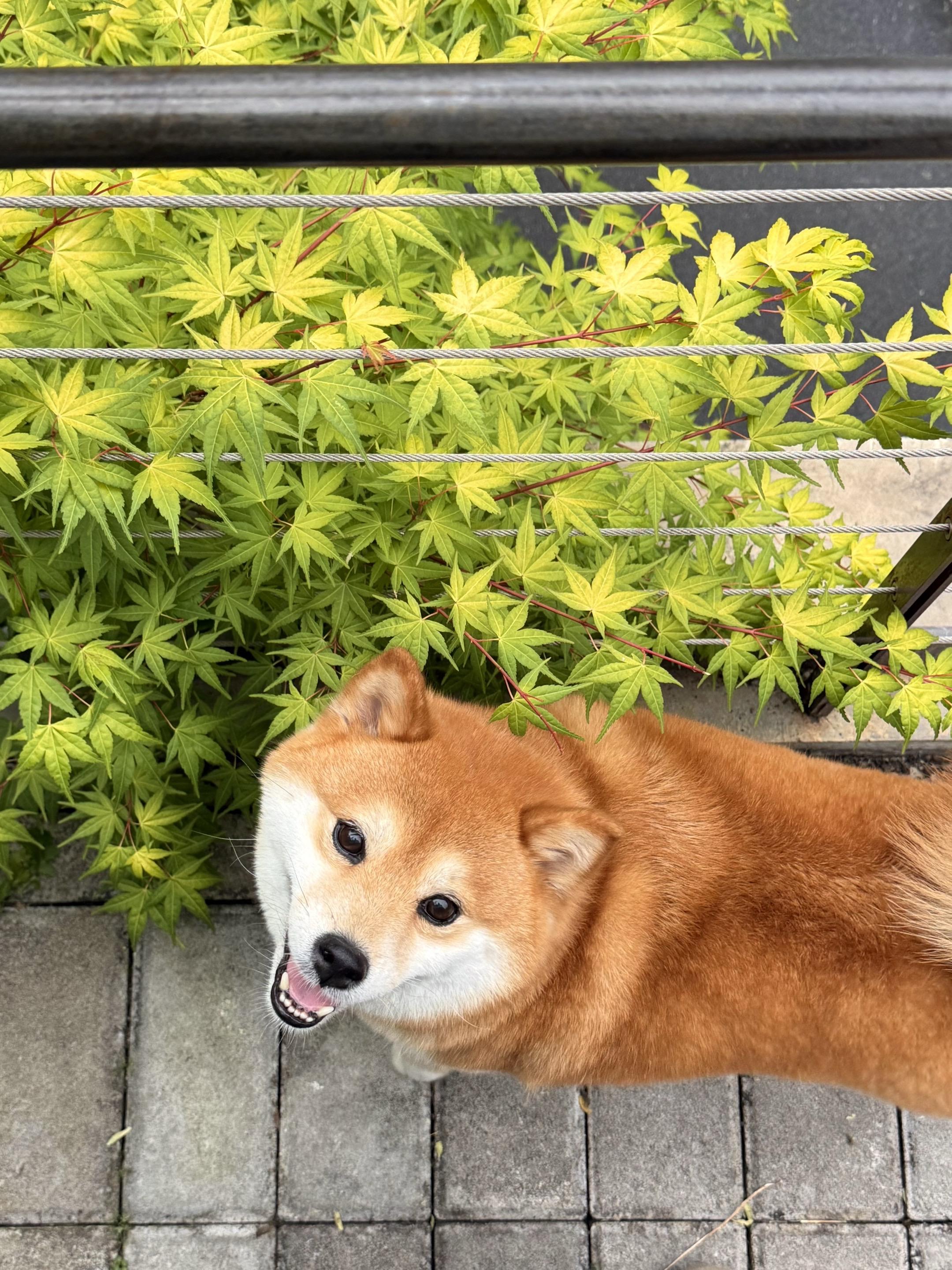 你是我一生中最珍贵的宝藏