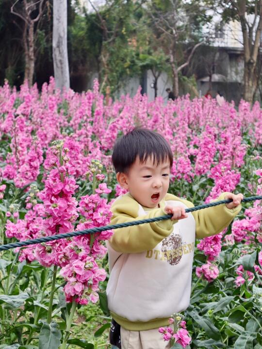 春天取景器 ̗̀📟🪻 | 赏花文案
