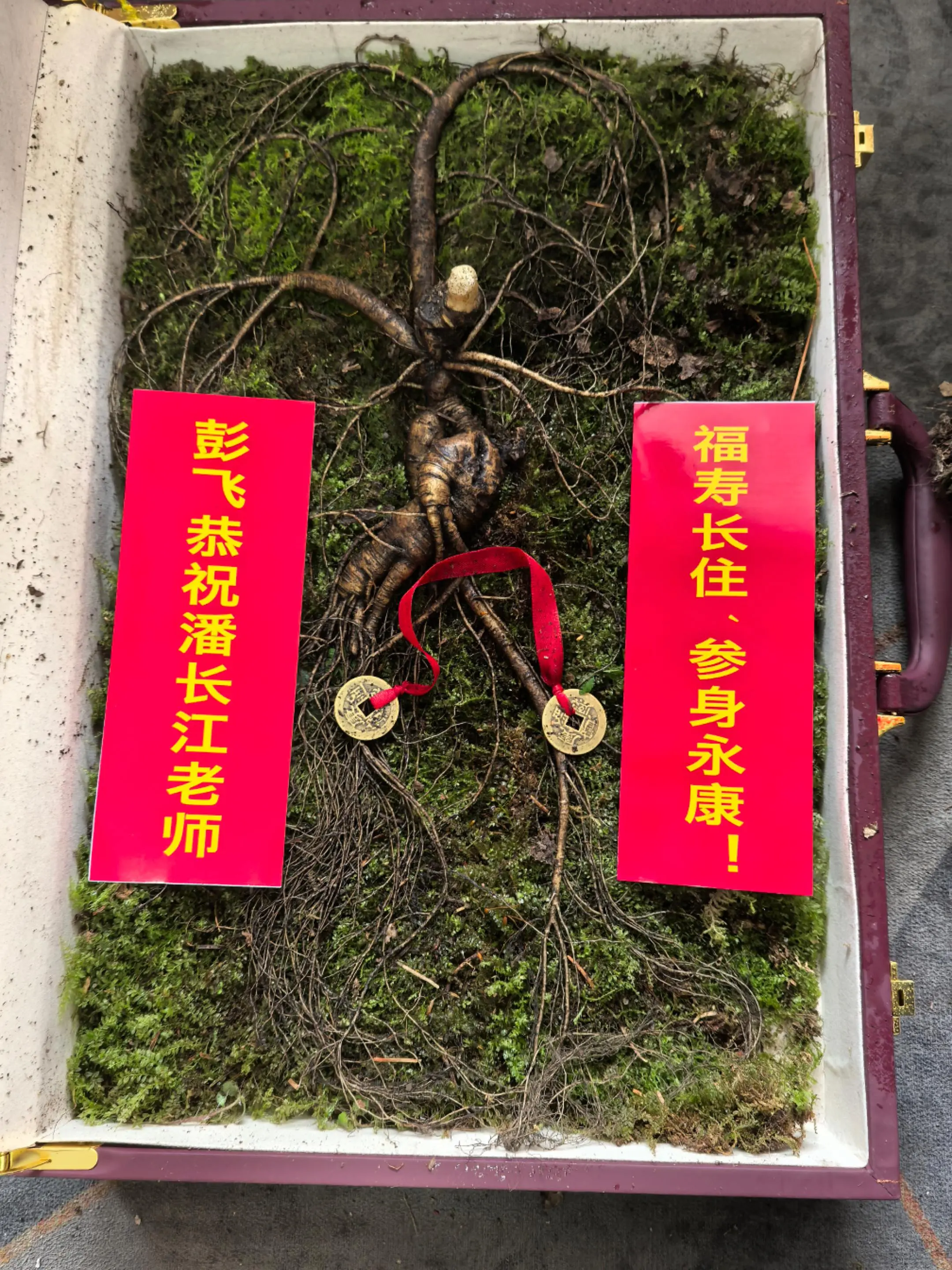 彭飞祝潘长江老师生日快乐！福寿长住！参身万康