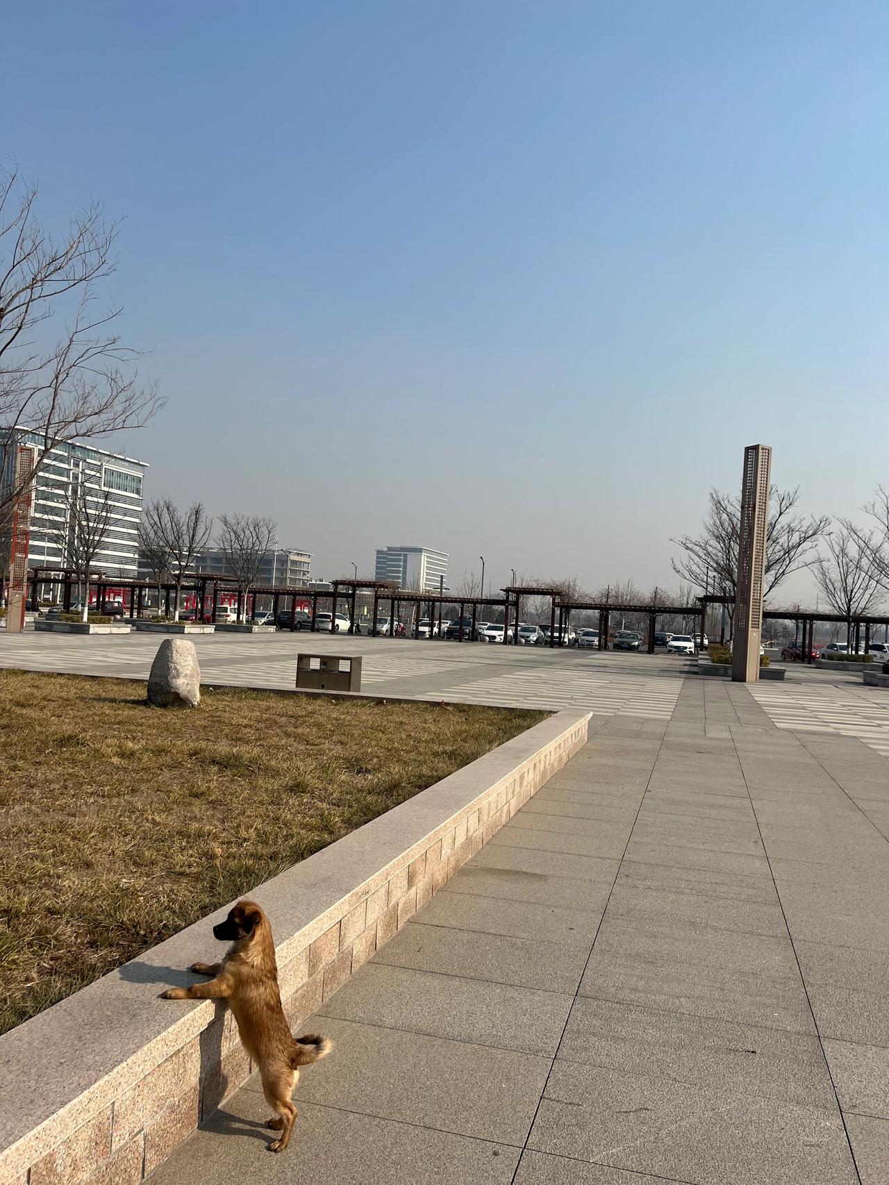 我新发布的内容被官方推荐啦！👍你也快来发布一条吧！带记录真实生活话题，更容易被