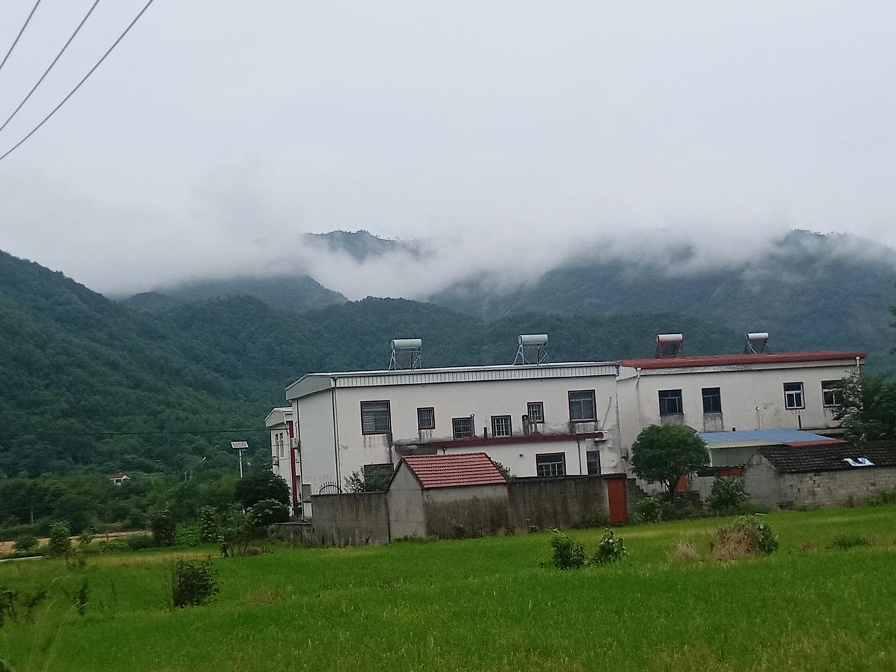 2026.6.29雨后重游龙眠山
 
枫林红叶
草帽难遮暑与霜，
亲巡丘壑访农桑