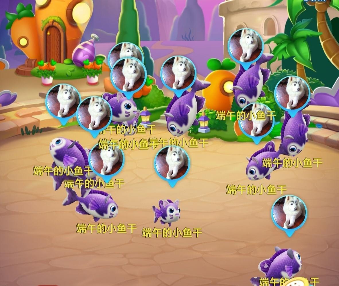 张晚意张晚意的三行诗挑战生活手记养一池应援色的鱼 