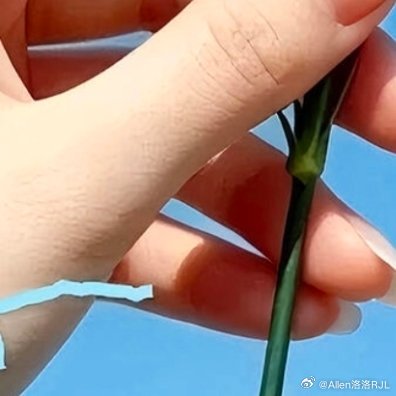 每日一善 热爱生活的人也一定会被生活治愈往前看生活就会给你满满惊喜心怀热爱，向阳