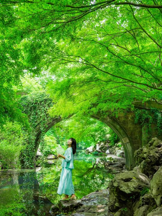 夏天来杭州🍃逛完这8个绿色能量场再离开！