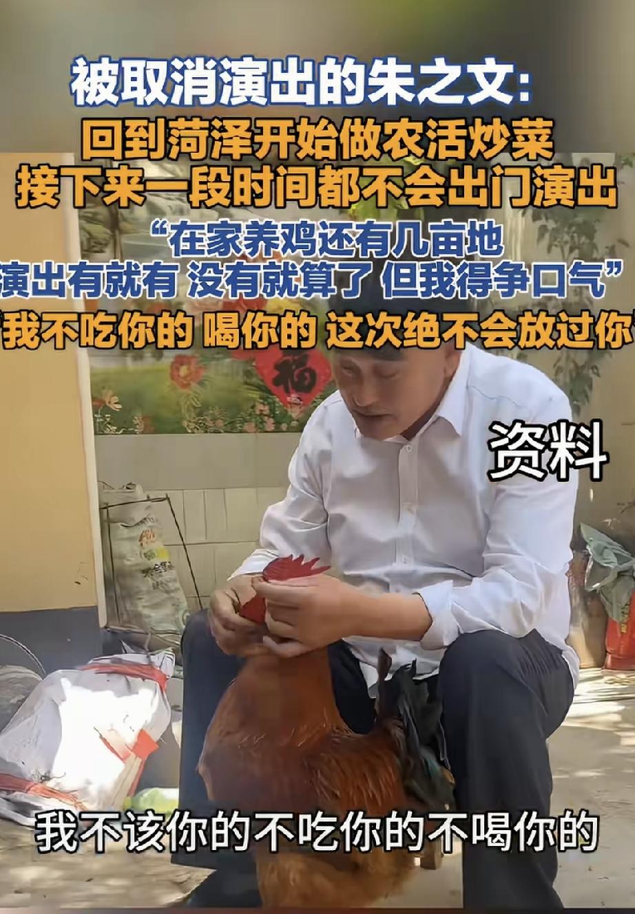 朱之文也可厉害啦！他宁愿站着死也不会躺着亡！意思就是：他家里有地，家里喂的还有鸡