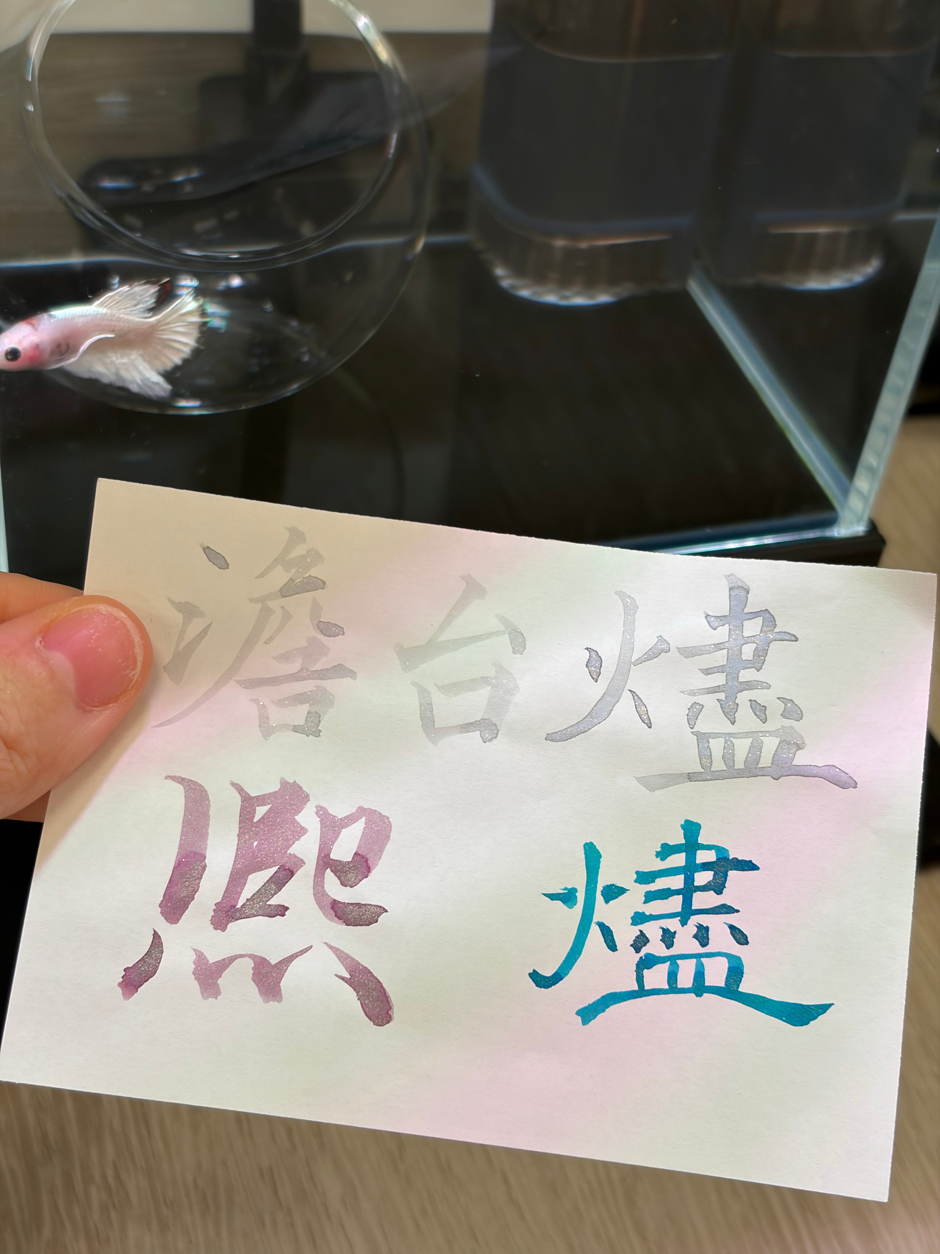 今日写字✓ 演唱会出座位了，好友们都在哀嚎 要么是前排大号 要么是小号后排[泪奔