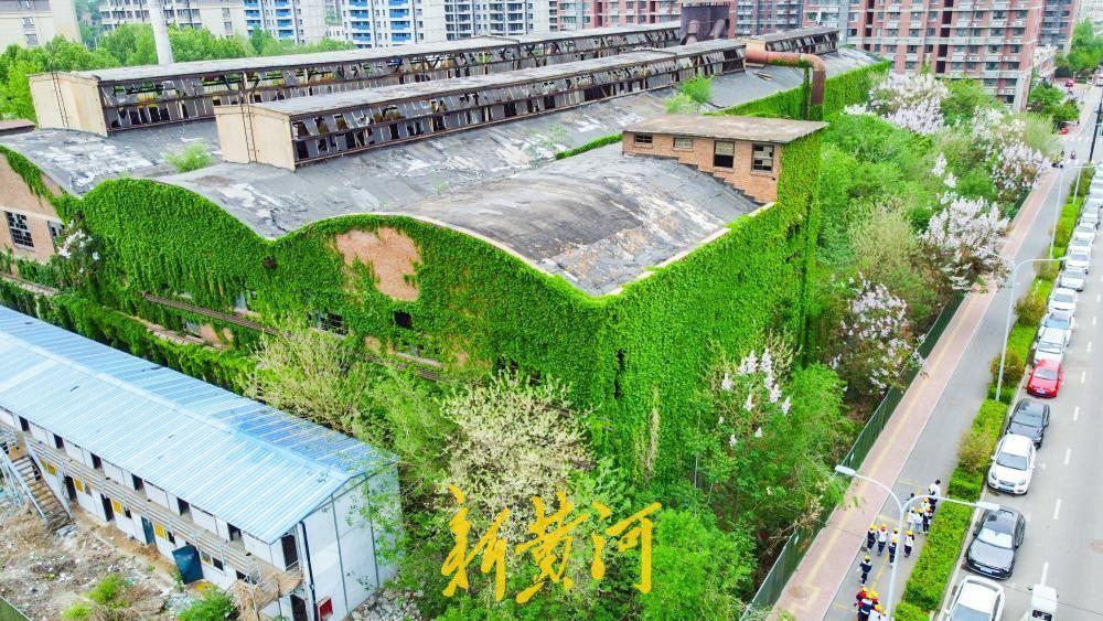 济南这座工业遗迹披青藤，老厂房变身“绿野仙踪”！4月16日，记者在济南刘长山路南